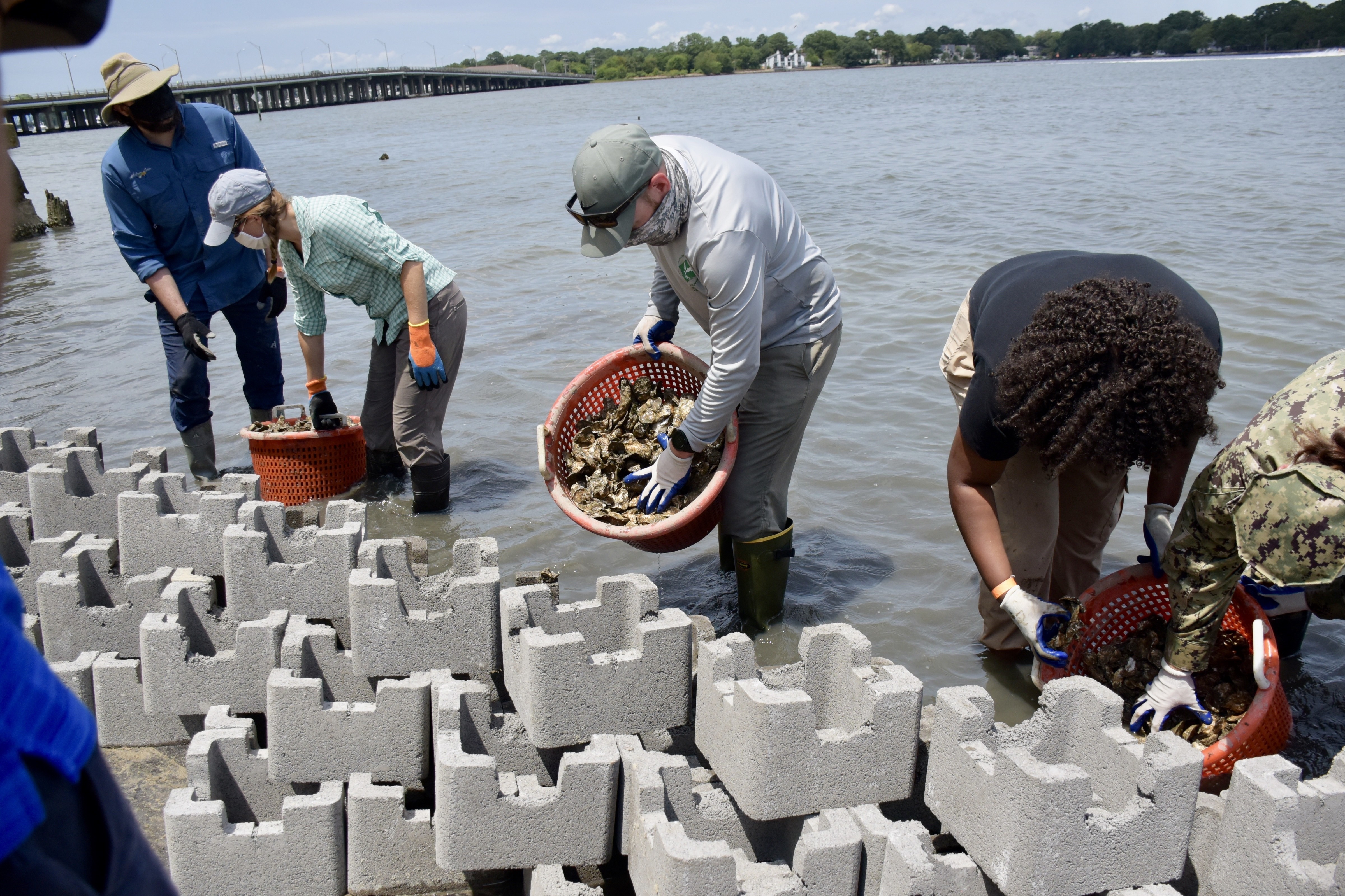 Oyster castle construction along Elizabeth River, VA Oyster castle construction along Elizabeth River, VA