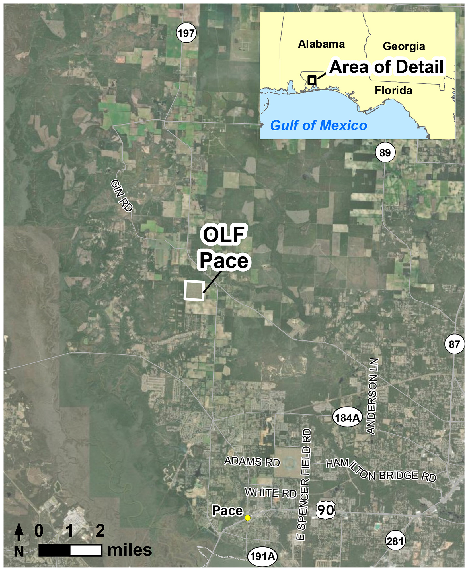 OLF Pace